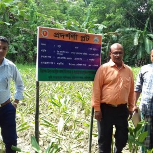 রাজস্ব প্রদশনী